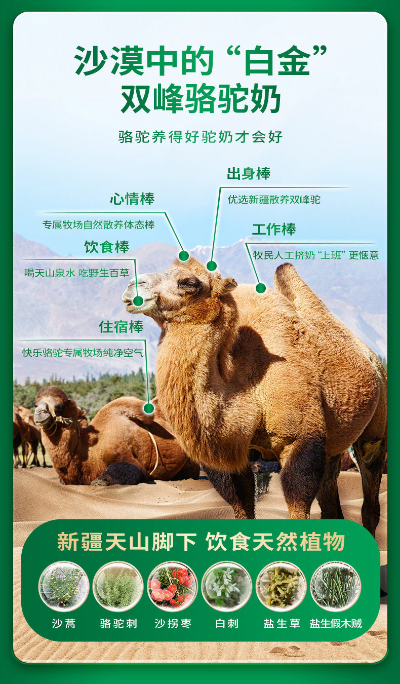 微信图片_20240803073828.jpg